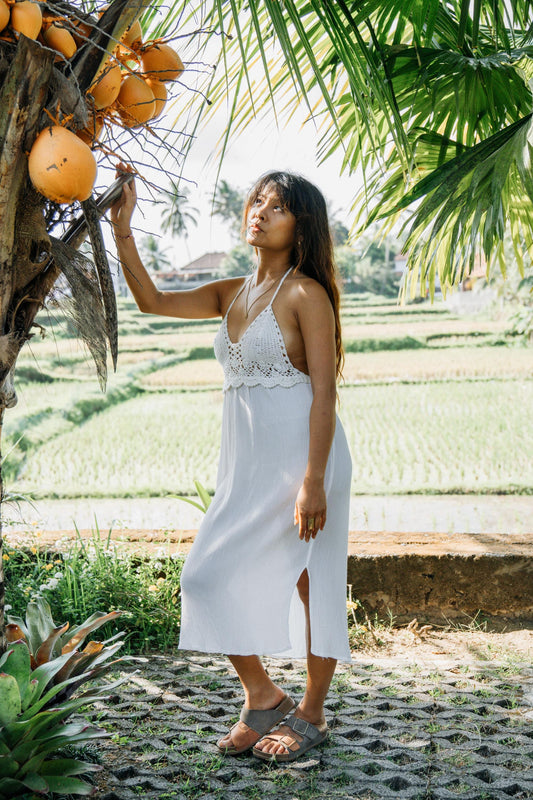 A woman wearing a white halter-neck midi dress with a lace-trimmed bodice and side slit, standing outdoors in a tropical setting next to a coconut tree with ripe coconuts.