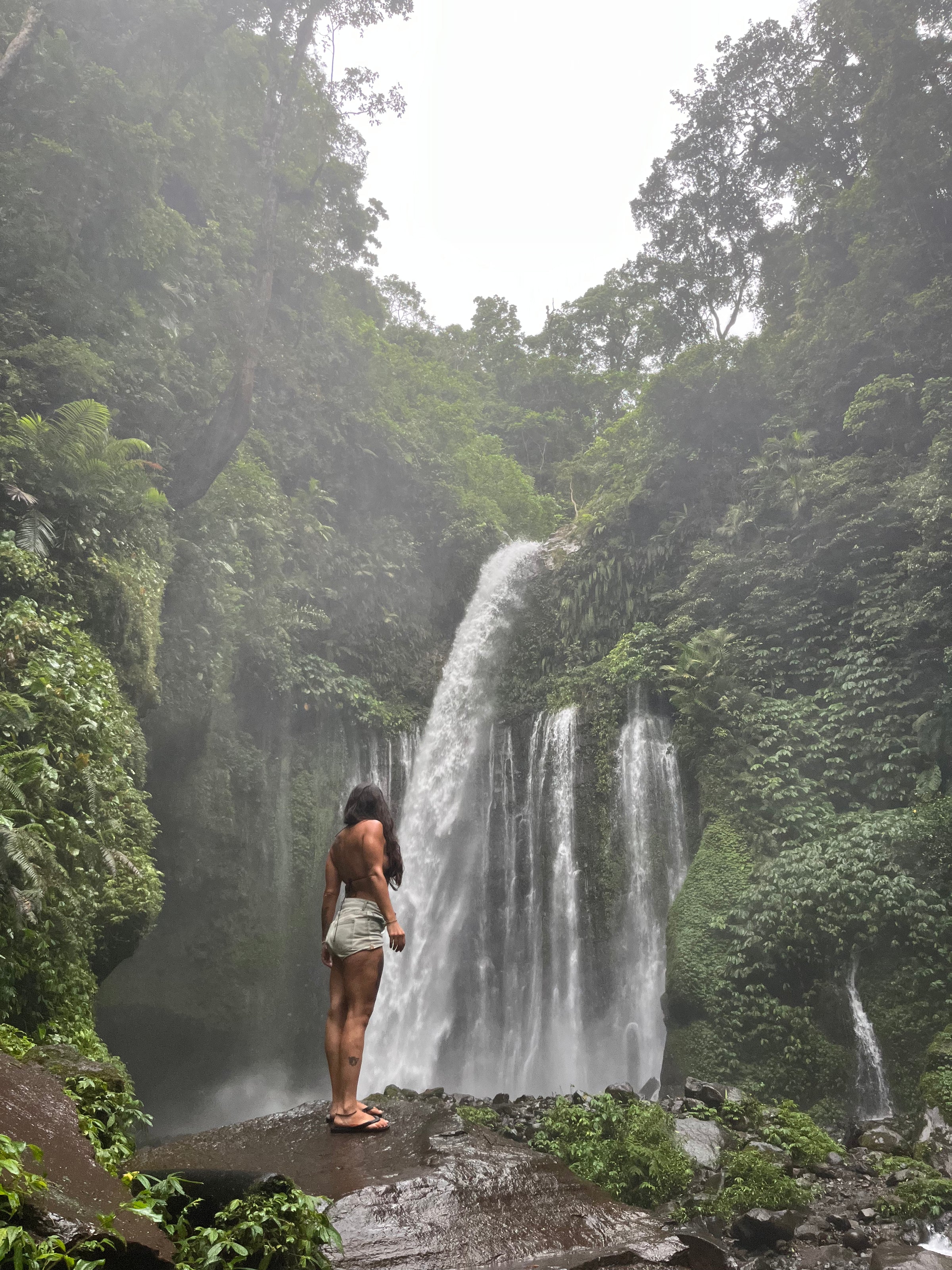 Born from  the jungle, shaped by the sea